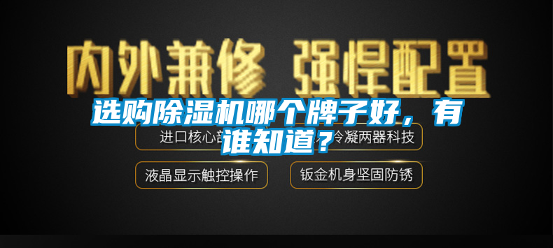 選購(gòu)除濕機(jī)哪個(gè)牌子好，有誰(shuí)知道？