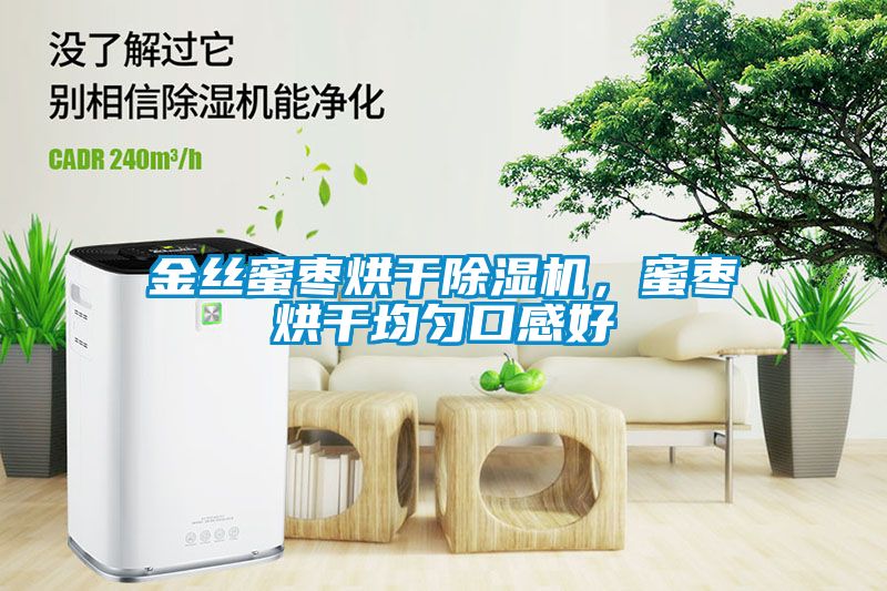 金絲蜜棗烘干除濕機，蜜棗烘干均勻口感好