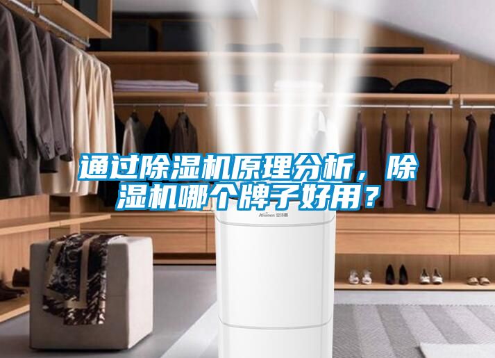 通過除濕機原理分析，除濕機哪個牌子好用？