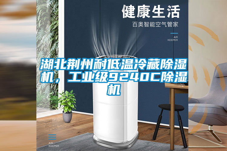 湖北荊州耐低溫冷藏除濕機，工業(yè)級9240C除濕機