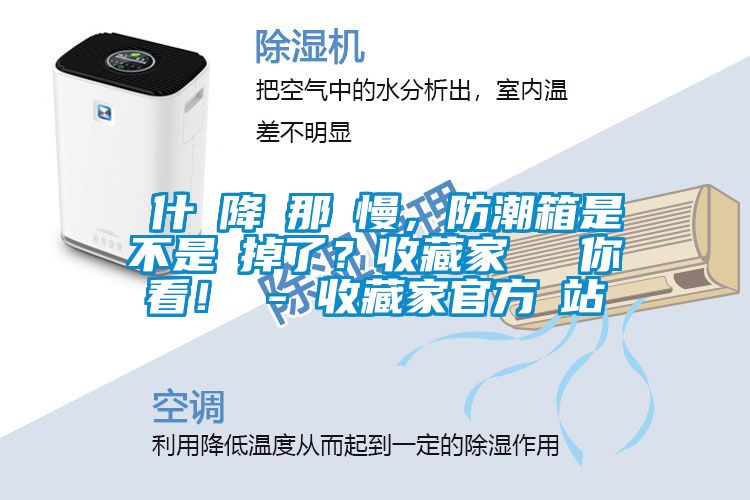 為什麼降濕那麼慢，防潮箱是不是壞掉了？收藏家實(shí)測給你看！ - 收藏家官方網(wǎng)站