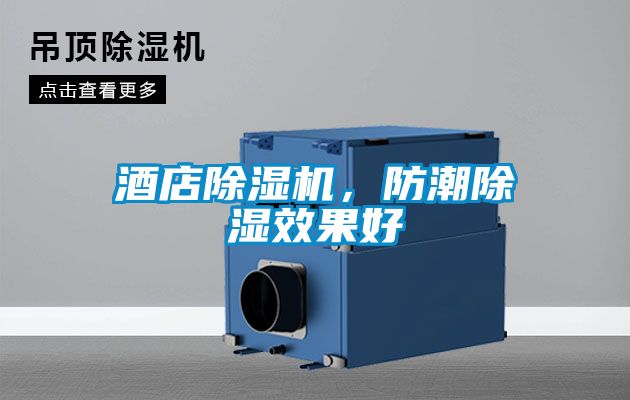 酒店除濕機，防潮除濕效果好