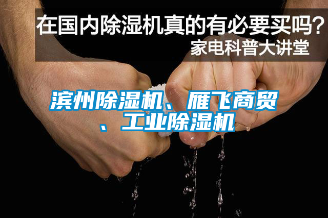 濱州除濕機(jī)、雁飛商貿(mào)、工業(yè)除濕機(jī)