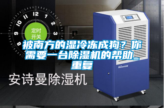 被南方的濕冷凍成狗？你需要一臺除濕機的幫助_重復