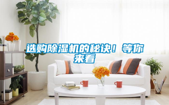 選購除濕機的秘訣！等你來看
