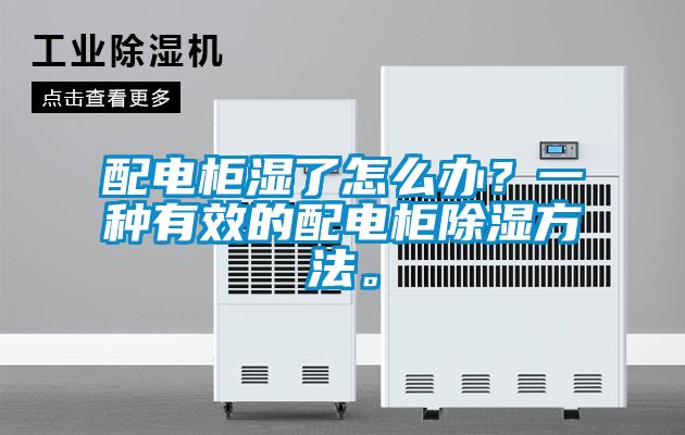 配電柜濕了怎么辦？一種有效的配電柜除濕方法。