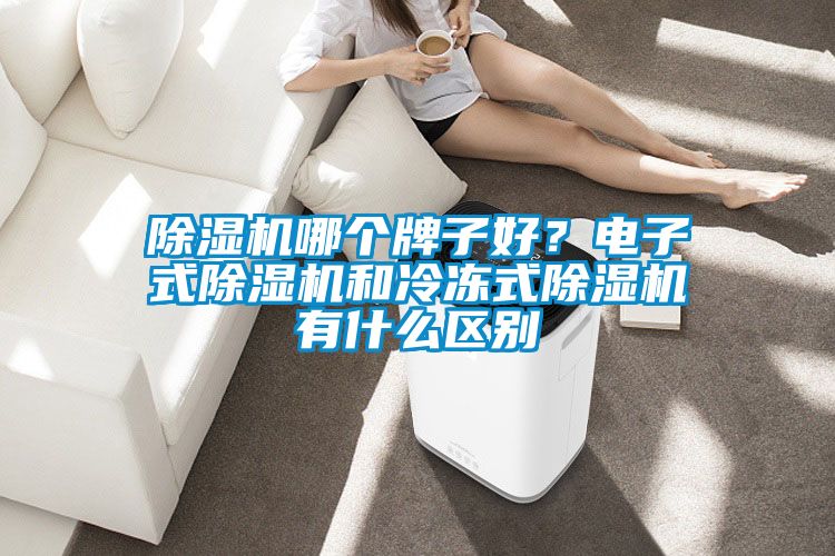 除濕機(jī)哪個(gè)牌子好？電子式除濕機(jī)和冷凍式除濕機(jī)有什么區(qū)別