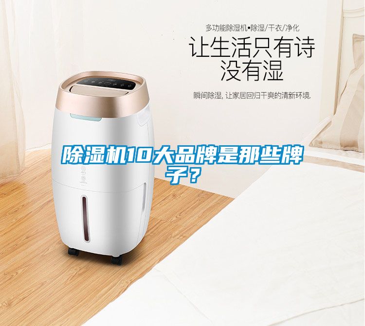 除濕機(jī)10大品牌是那些牌子？