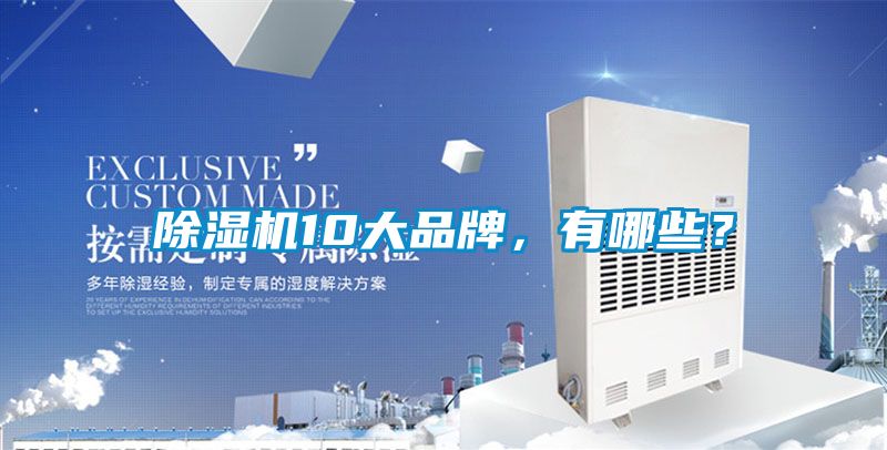 除濕機10大品牌，有哪些？