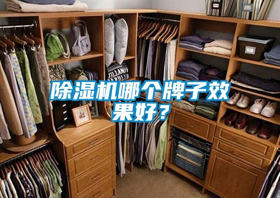 除濕機(jī)哪個(gè)牌子效果好？
