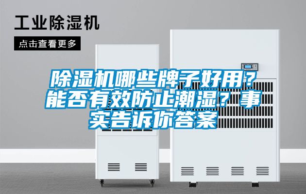 除濕機(jī)哪些牌子好用？能否有效防止潮濕？事實(shí)告訴你答案