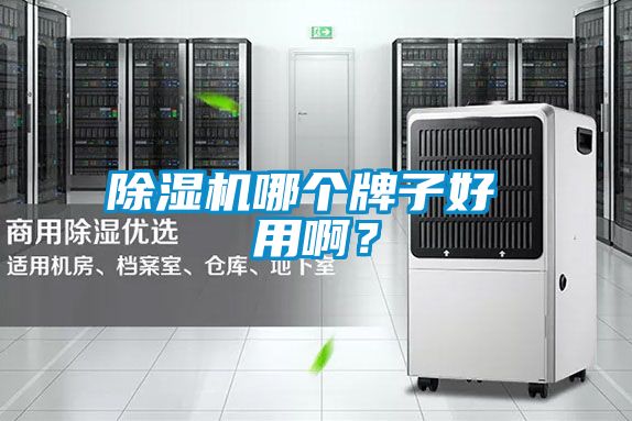 除濕機(jī)哪個(gè)牌子好 用??？