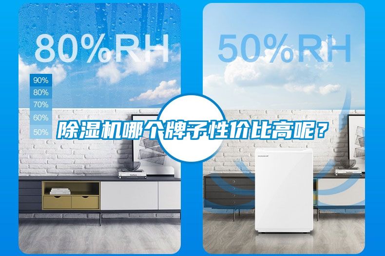 除濕機(jī)哪個(gè)牌子性價(jià)比高呢？