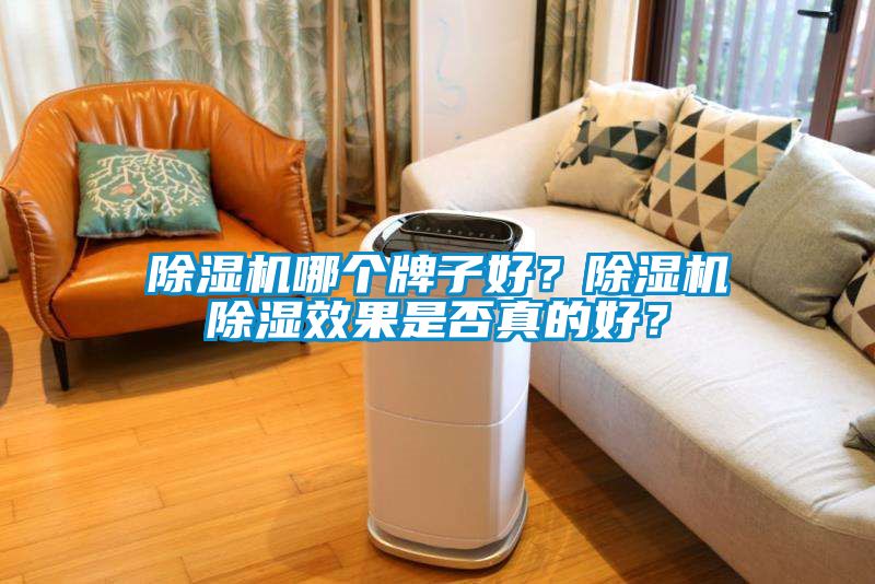 除濕機(jī)哪個(gè)牌子好？除濕機(jī)除濕效果是否真的好？