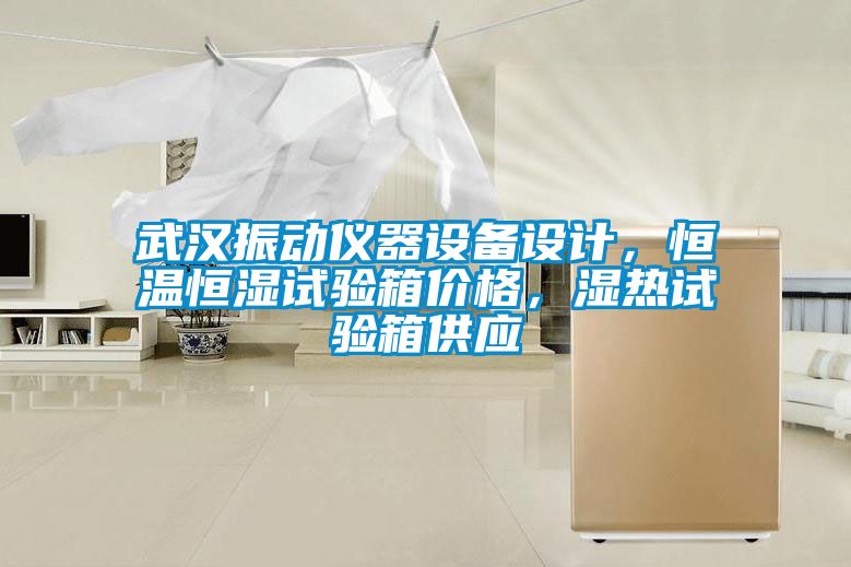 武漢振動(dòng)儀器設(shè)備設(shè)計(jì)，恒溫恒濕試驗(yàn)箱價(jià)格，濕熱試驗(yàn)箱供應(yīng)