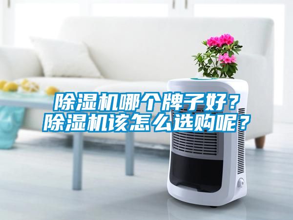 除濕機(jī)哪個(gè)牌子好？除濕機(jī)該怎么選購(gòu)呢？