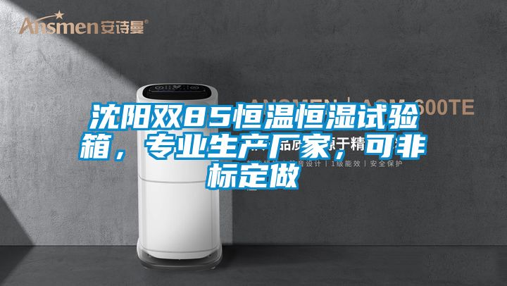 沈陽雙85恒溫恒濕試驗箱，專業(yè)生產(chǎn)廠家，可非標定做