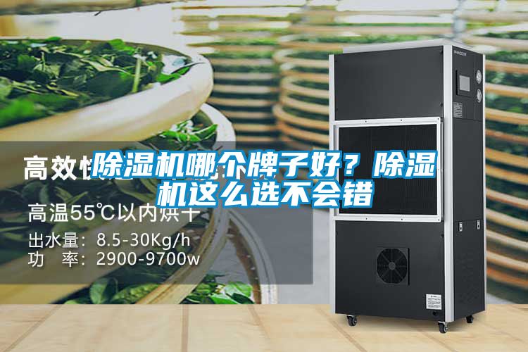 除濕機(jī)哪個(gè)牌子好？除濕機(jī)這么選不會(huì)錯(cuò)