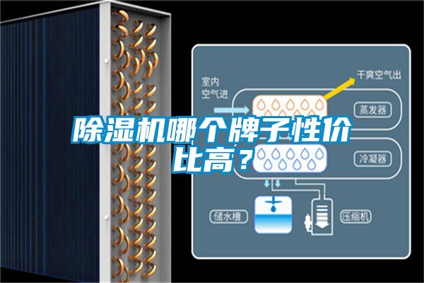 除濕機(jī)哪個(gè)牌子性價(jià)比高？