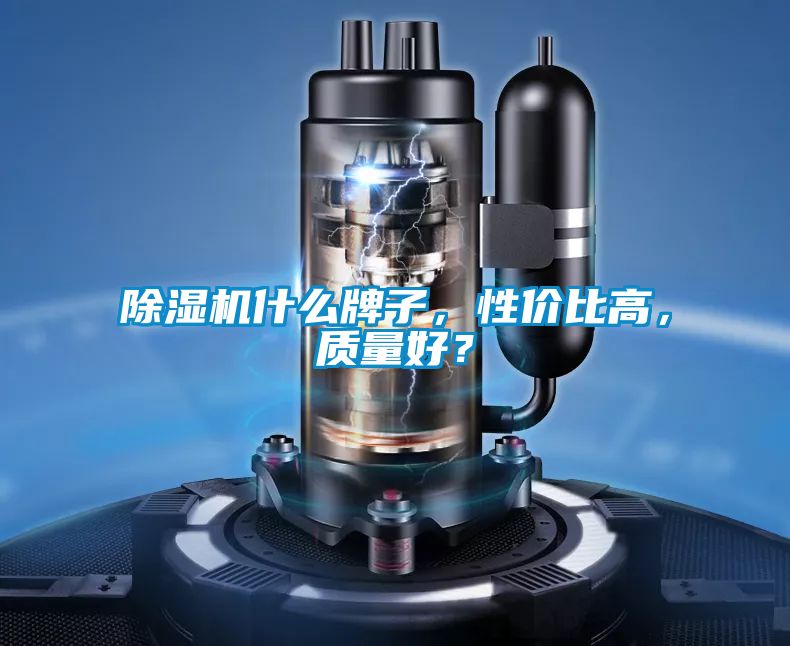除濕機什么牌子，性價比高，質(zhì)量好？