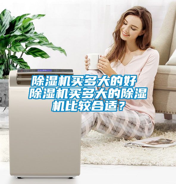 除濕機(jī)買多大的好 除濕機(jī)買多大的除濕機(jī)比較合適？