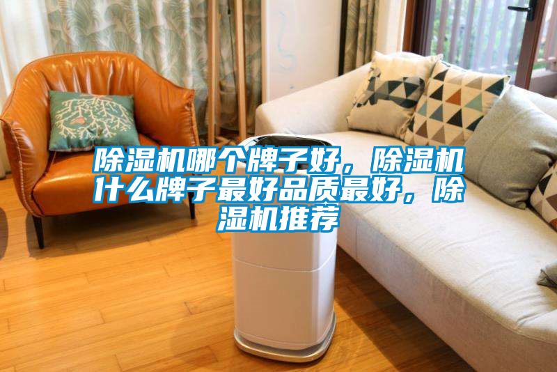 除濕機(jī)哪個(gè)牌子好，除濕機(jī)什么牌子最好品質(zhì)最好，除濕機(jī)推薦