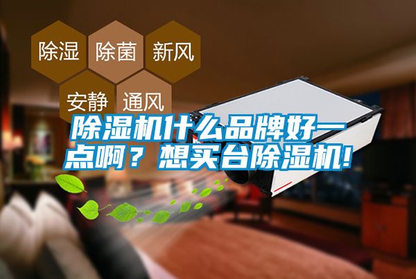 除濕機什么品牌好一點??？想買臺除濕機!