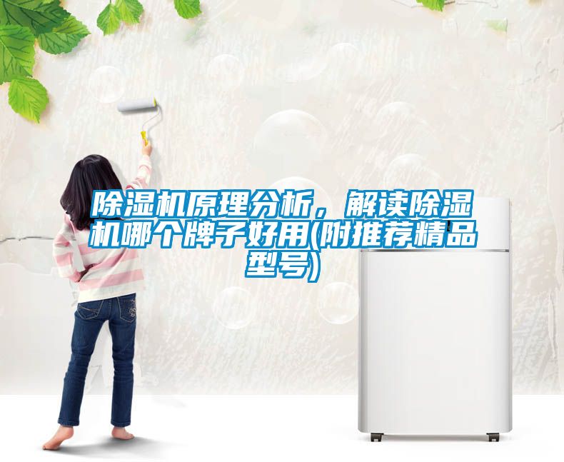 除濕機(jī)原理分析，解讀除濕機(jī)哪個(gè)牌子好用(附推薦精品型號(hào))