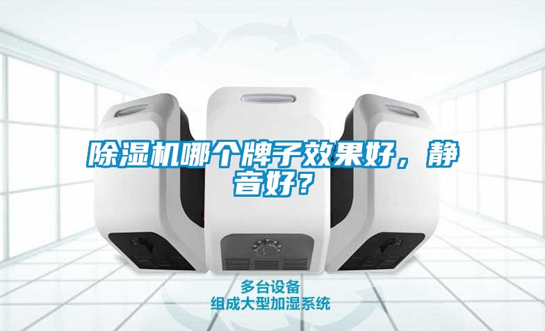除濕機(jī)哪個(gè)牌子效果好，靜音好？