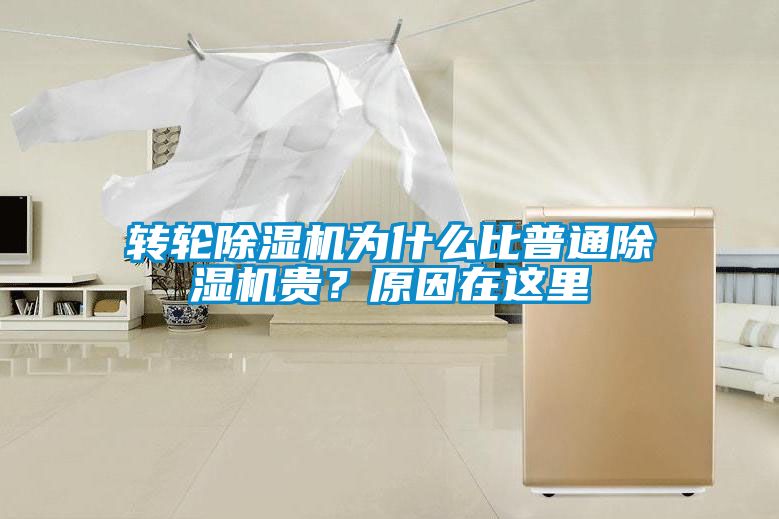 轉(zhuǎn)輪除濕機為什么比普通除濕機貴？原因在這里