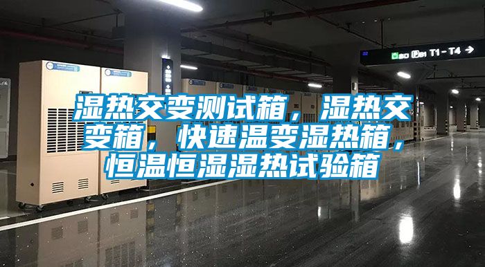 濕熱交變測(cè)試箱，濕熱交變箱，快速溫變濕熱箱，恒溫恒濕濕熱試驗(yàn)箱