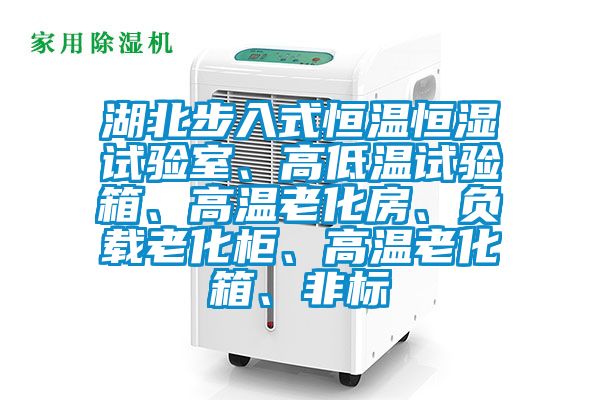 湖北步入式恒溫恒濕試驗室、高低溫試驗箱、高溫老化房、負(fù)載老化柜、高溫老化箱、非標(biāo)