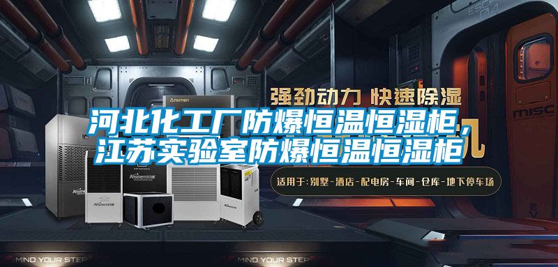 河北化工廠防爆恒溫恒濕柜，江蘇實驗室防爆恒溫恒濕柜