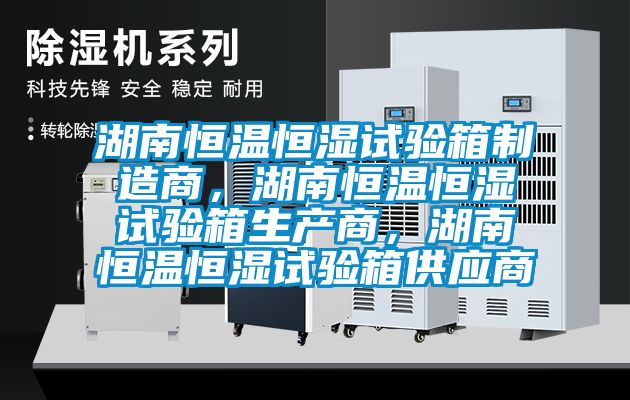 湖南恒溫恒濕試驗箱制造商，湖南恒溫恒濕試驗箱生產商，湖南恒溫恒濕試驗箱供應商