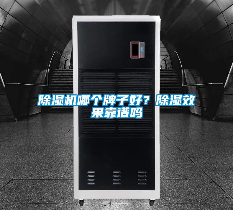 除濕機(jī)哪個(gè)牌子好？除濕效果靠譜嗎