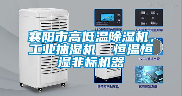 襄陽市高低溫除濕機，工業(yè)抽濕機  恒溫恒濕非標機器