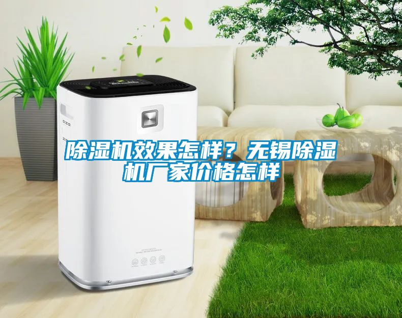 除濕機(jī)效果怎樣？無錫除濕機(jī)廠家價(jià)格怎樣