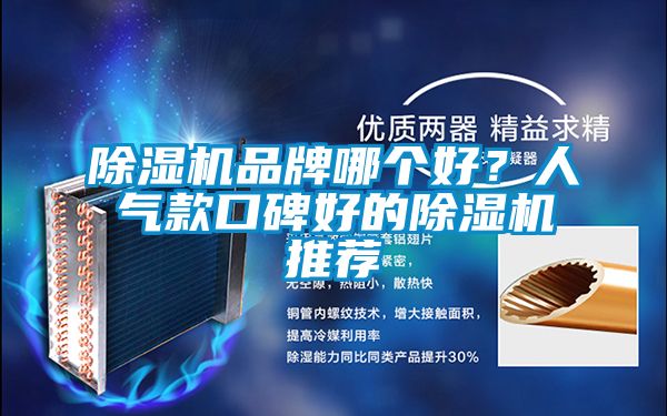 除濕機(jī)品牌哪個好？人氣款口碑好的除濕機(jī)推薦