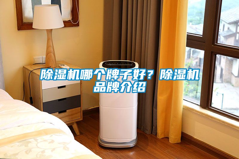 除濕機哪個牌子好？除濕機品牌介紹