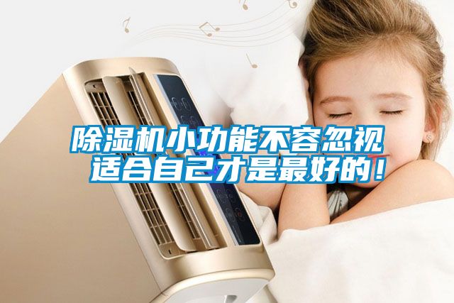 除濕機小功能不容忽視 適合自己才是最好的！