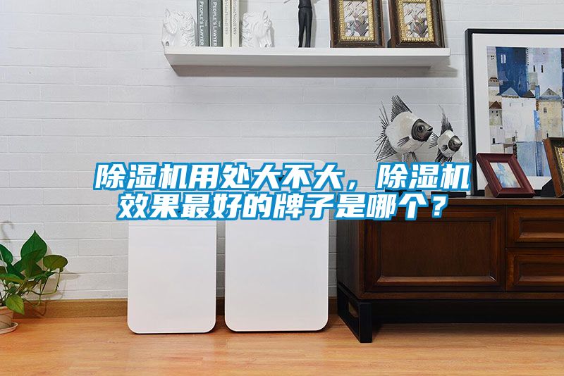 除濕機用處大不大，除濕機效果最好的牌子是哪個？