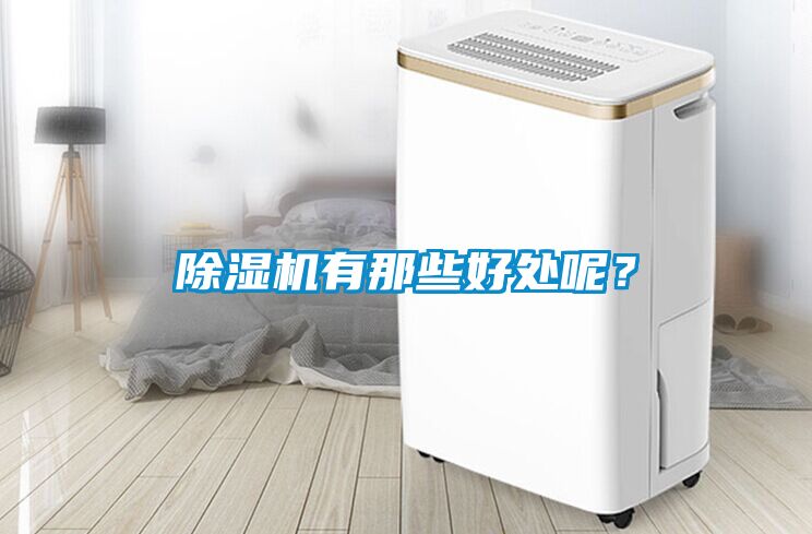 除濕機有那些好處呢？