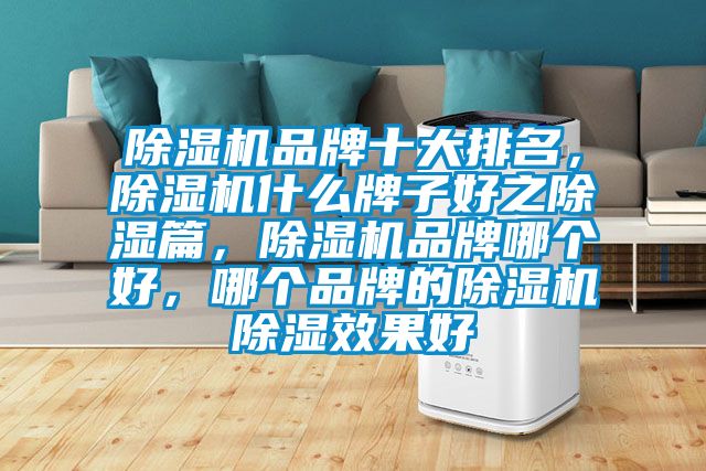 除濕機(jī)品牌十大排名，除濕機(jī)什么牌子好之除濕篇，除濕機(jī)品牌哪個(gè)好，哪個(gè)品牌的除濕機(jī)除濕效果好