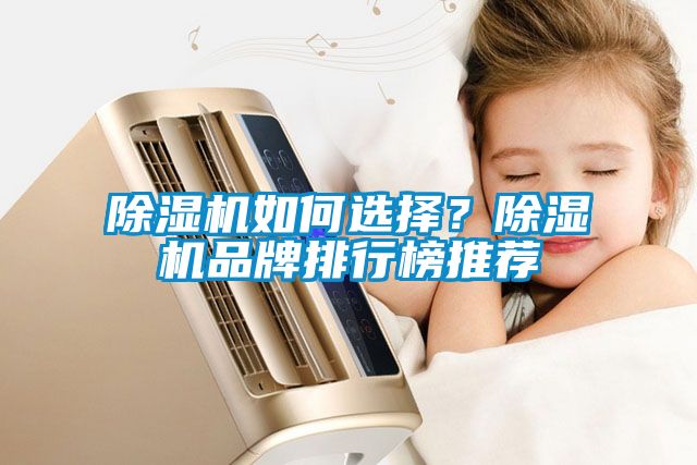 除濕機如何選擇？除濕機品牌排行榜推薦
