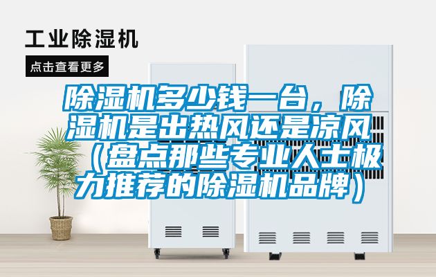 除濕機多少錢一臺，除濕機是出熱風(fēng)還是涼風(fēng)（盤點那些專業(yè)人士極力推薦的除濕機品牌）