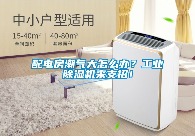 配電房潮氣大怎么辦？工業(yè)除濕機來支招！