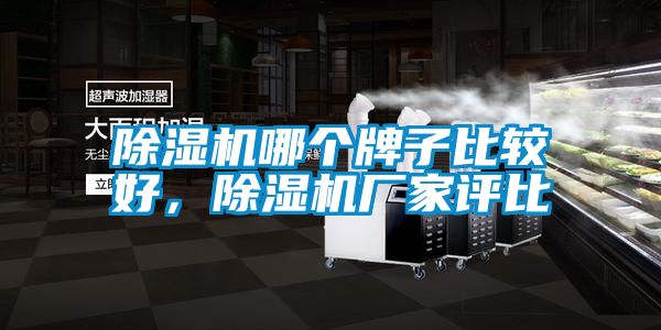除濕機(jī)哪個牌子比較好，除濕機(jī)廠家評比
