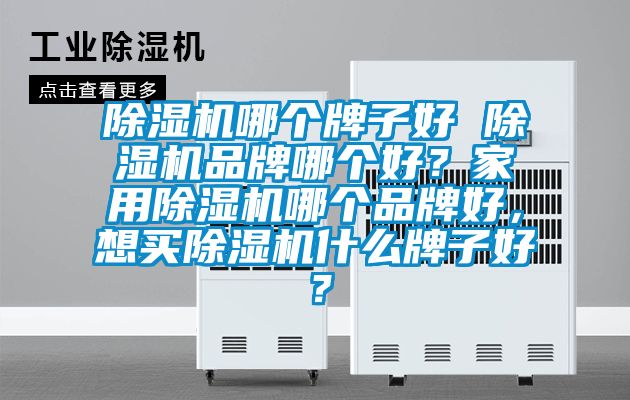 除濕機(jī)哪個牌子好 除濕機(jī)品牌哪個好？家用除濕機(jī)哪個品牌好，想買除濕機(jī)什么牌子好？