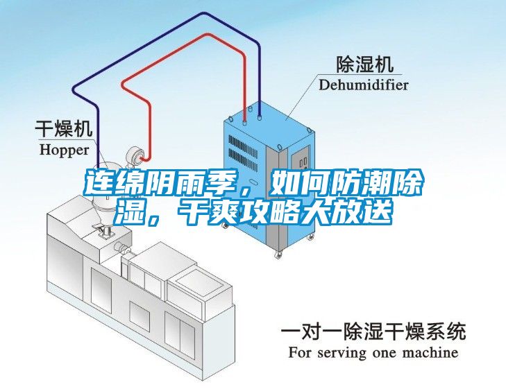 連綿陰雨季，如何防潮除濕，干爽攻略大放送