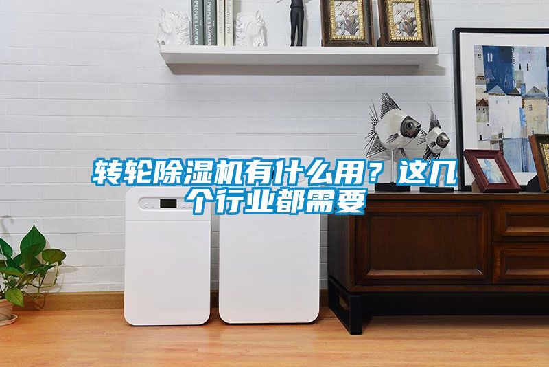 轉(zhuǎn)輪除濕機(jī)有什么用？這幾個行業(yè)都需要